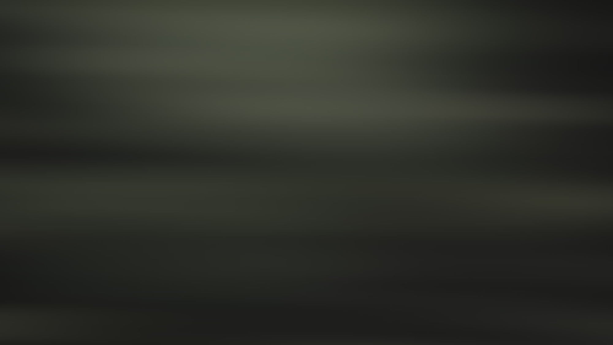 Wipe 17