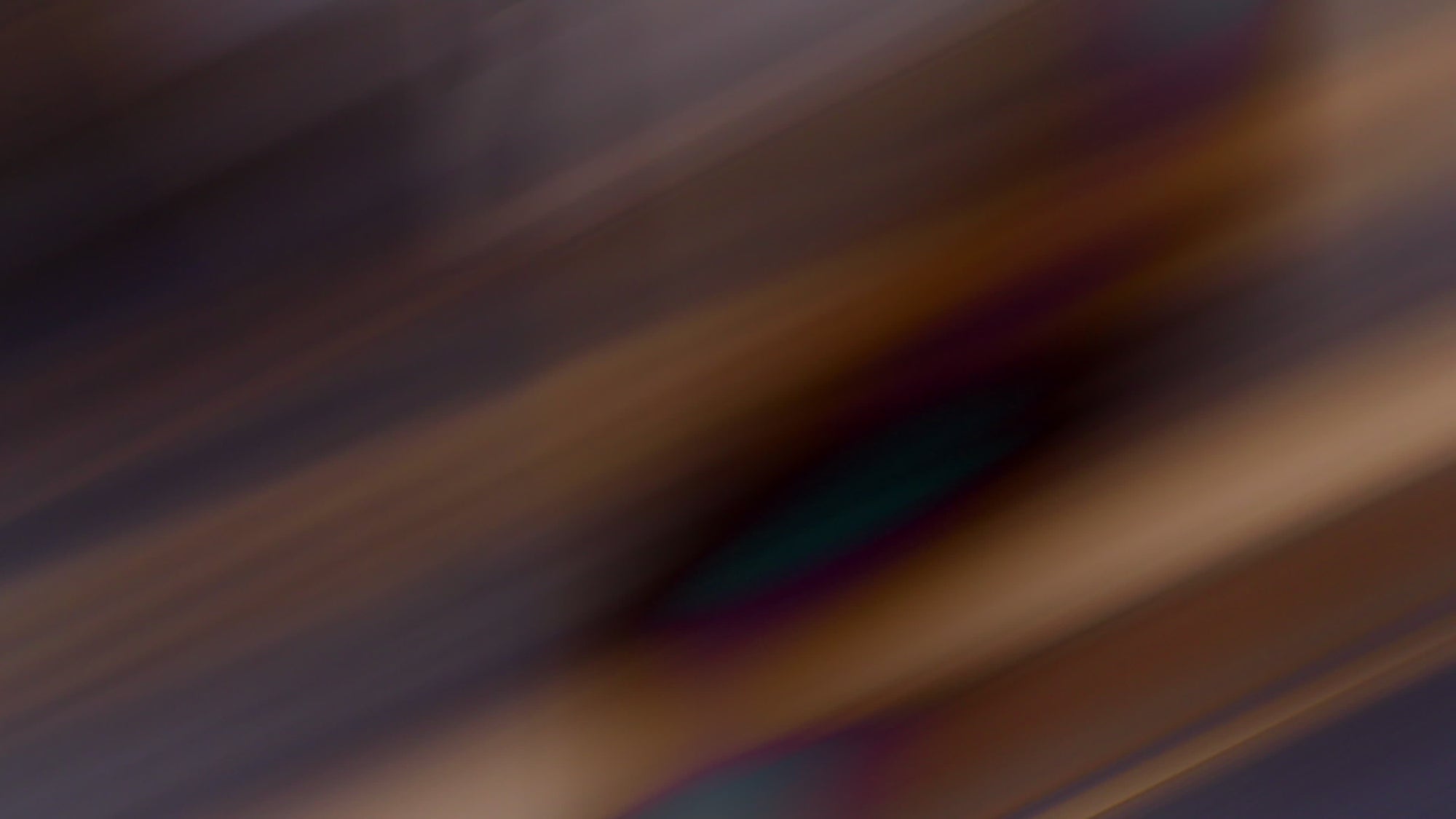 Wipe 20