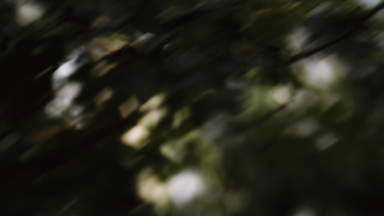 Wipe 04