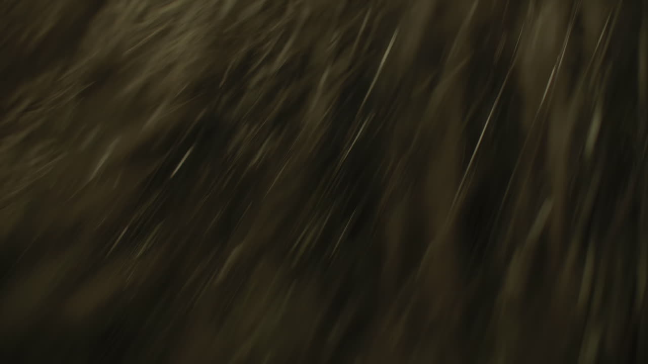 Wipe 09