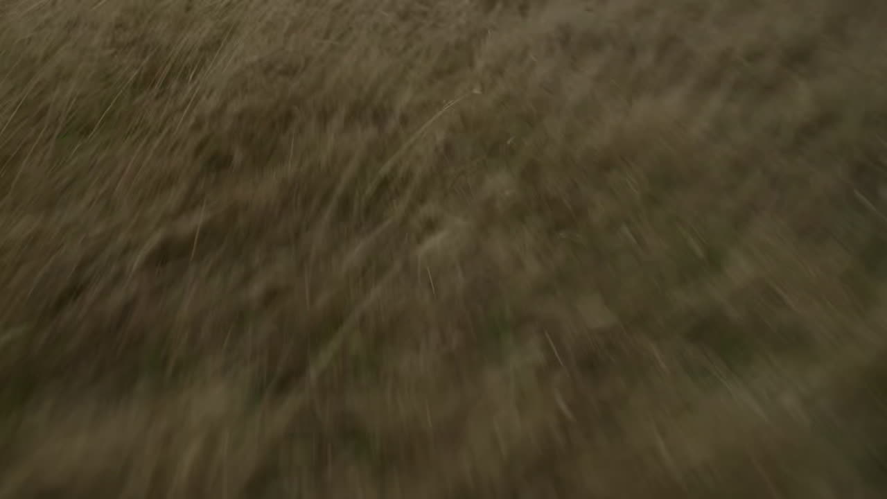 Wipe 10