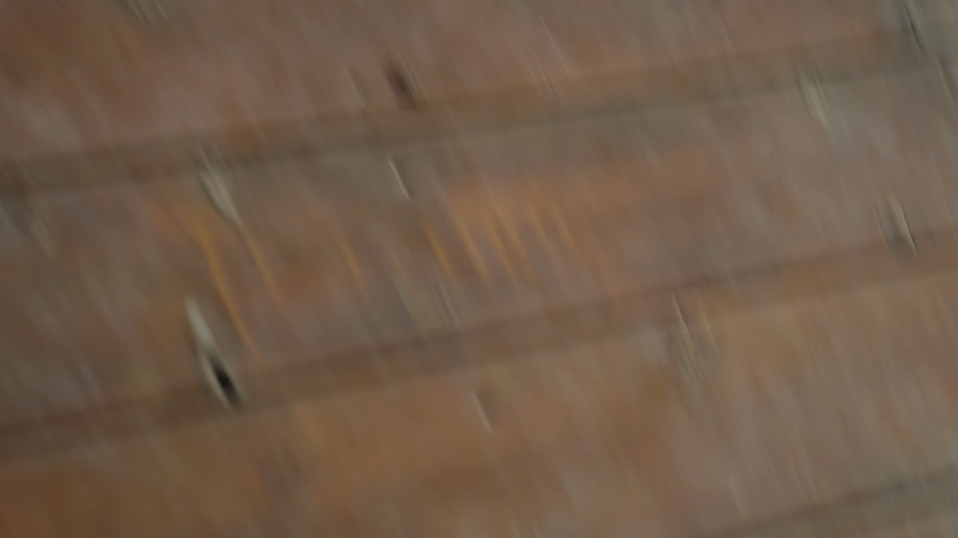 Wipe 20