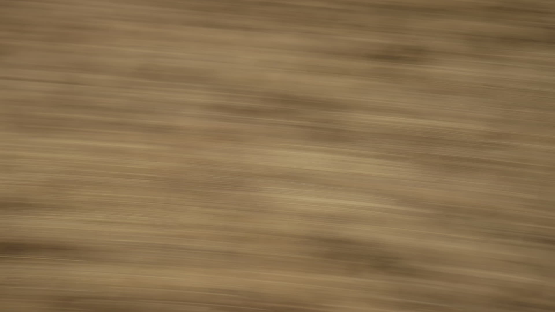 Wipe 03