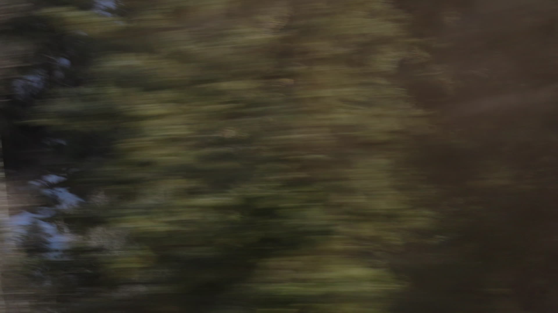 Wipe 04