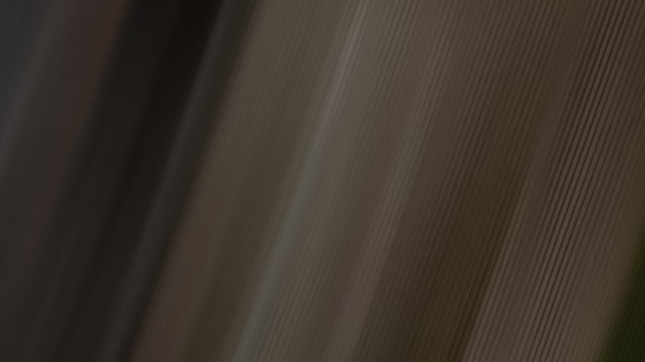Wipe 06